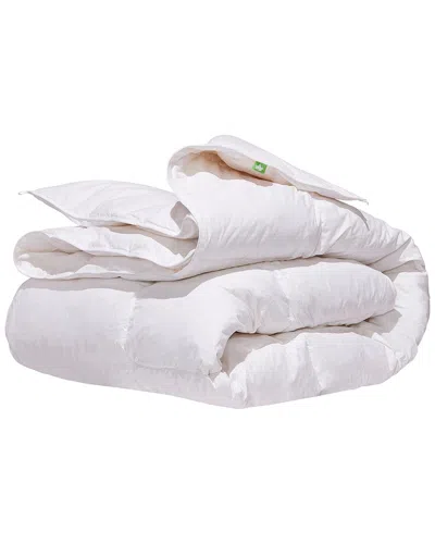 Canadian Down & Feather Company 260 Thread Count White Goose Feather & Down  All-season Weight Duvet