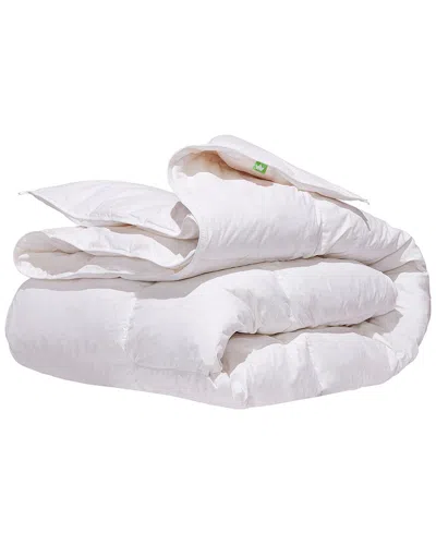 Canadian Down & Feather Company 260 Thread Count White Goose Feather & Down  Regular Weight Duvet