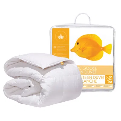 Canadian Down & Feather Company 650 Loft White Goose Down Duvet Regular Weight