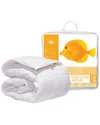 Canadian Down & Feather Company 650 Loft White Goose Down Duvet Regular Weight In White