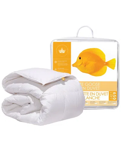 Canadian Down & Feather Company 650 Loft White Goose Down Duvet Regular Weight
