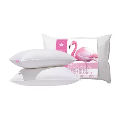 Canadian Down & Feather Company Down 2 Pack Medium Density Bed Pillow In White