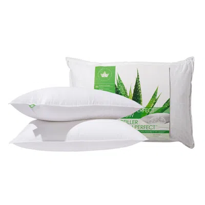 Canadian Down & Feather Company Down Perfect Pillow Firm Support - 2 Pack In Green