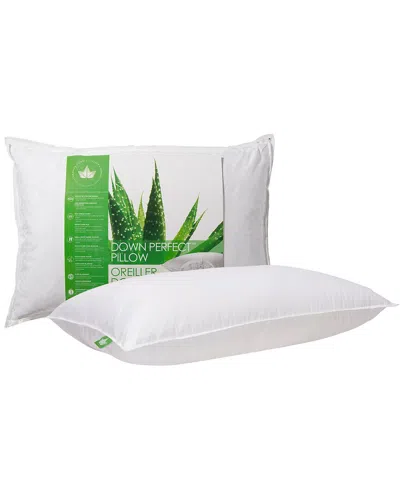 CANADIAN DOWN & FEATHER COMPANY CANADIAN DOWN & FEATHER COMPANY DOWN PERFECT PILLOW FIRM SUPPORT