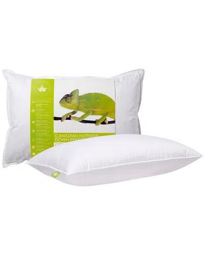 Canadian Down & Feather Company Hutterite Down Perfect Pillow Firm Support
