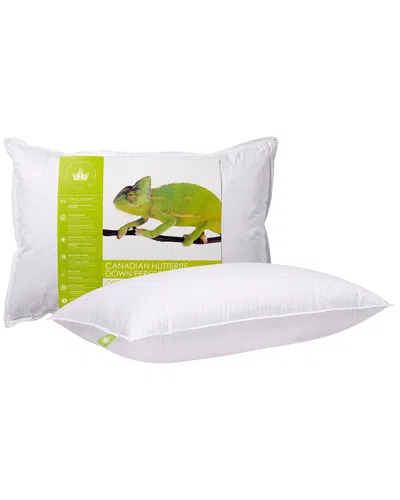 CANADIAN DOWN & FEATHER COMPANY CANADIAN DOWN & FEATHER COMPANY HUTTERITE DOWN PERFECT PILLOW MEDIUM SUPPORT