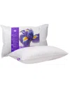 Canadian Down & Feather Company Hutterite Goose Down Pillow Medium Support