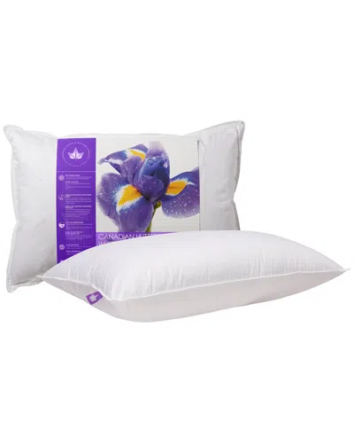 Canadian Down & Feather Company Hutterite Goose Down Pillow Soft Support In Purple