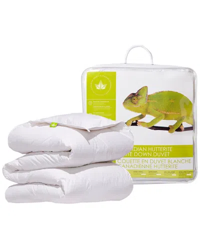 Canadian Down & Feather Company Hutterite White Down Duvet Regular Weight