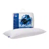 Canadian Down & Feather Company Quilted White Goose Feather Body Pillow Xl