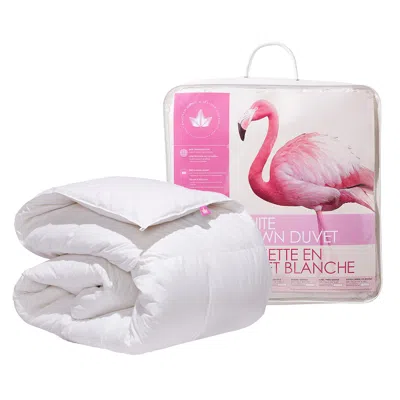 Canadian Down & Feather Company White Down Duvet Regular  Weight