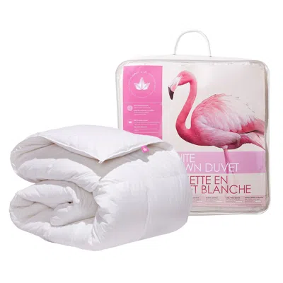 Canadian Down & Feather Company White Down Duvet, Regular Weight - Us Queen / Uk King