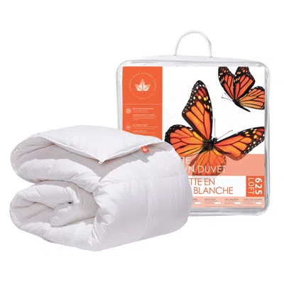 Canadian Down & Feather Company White Down Duvet - Us Xl King / Uk Emperor - Regular Weight