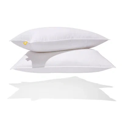 Canadian Down & Feather Company White Feather & Down Pillow - 2 Pack
