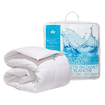 Canadian Down & Feather Company White Goose Down Duvet, Regular Weight - Xl Queen