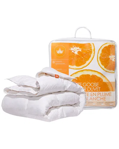 Canadian Down & Feather Company White Goose Feather Duvet All Season  Weight