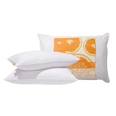 Canadian Down & Feather Company White Goose Feather Pillow Soft Support - 2 Pack