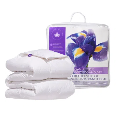 Canadian Down & Feather Company White Hutterite Goose Down Duvet, Regular Weight - Full / Double