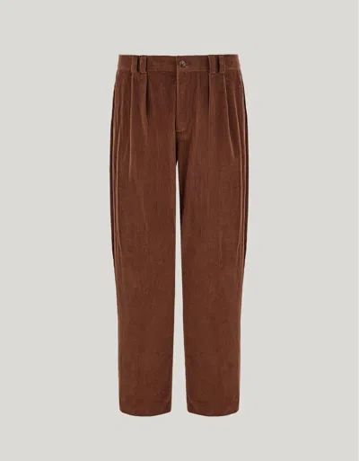 Canali Brown Cotton Corduroy Pants With Two Pleats
