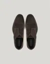 Canali Cap Toe Derby In Brown