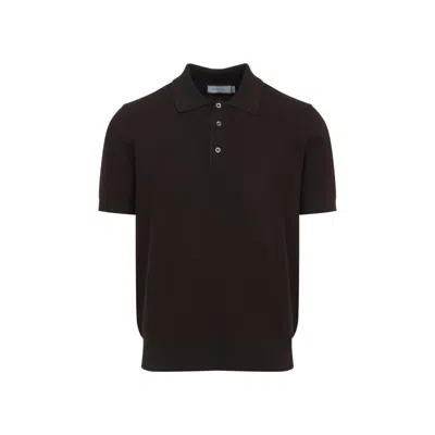 Canali Knit In Brown
