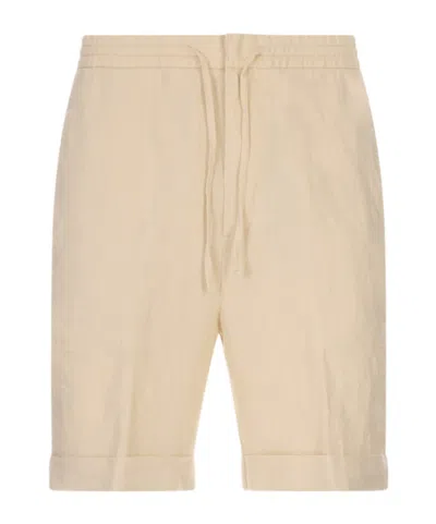 Canali Line Shorts In Brown