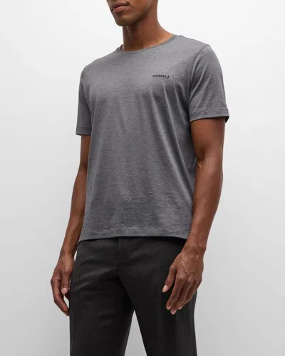 Canali Men's 90th Anniversary Melange T-shirt In Grey