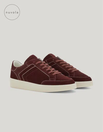 Canali Nuvola Burgundy Suede Sneakers In Red