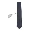 Canali Pointed Tie In Blue