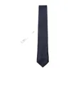 Canali Pointed Tie In Blue