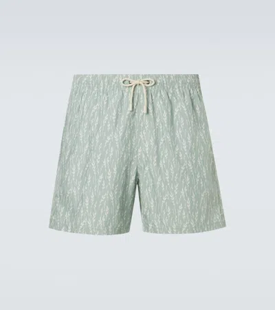 Canali Printed Swim Trunks In Green