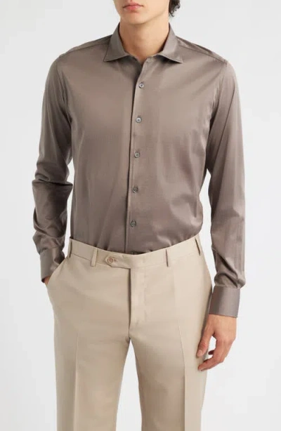 Canali Regular Fit Cotton Jersey Dress Shirt In Brown
