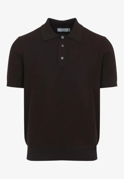 Canali Ribbed Knit Polo T-shirt In Brown