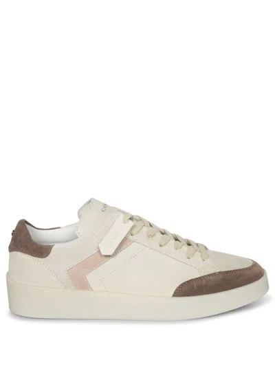 Canali Sneakers In Brown