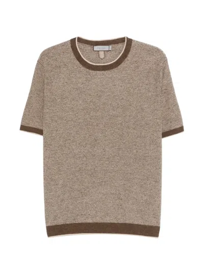 Canali Trimmed Short-sleeve T-shirt In Brown
