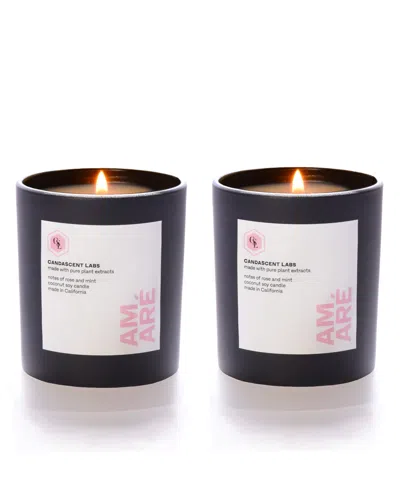 Candascent Labs Amaré 'to Love' Bundle - Rose & Mint Candle Pair - Black In Multi