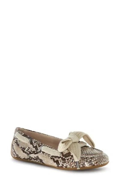 Candice Cooper Candy Boat Bow Loafer In Multi