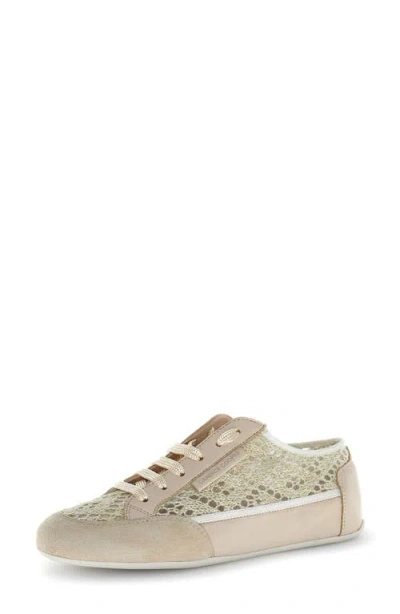 Candice Cooper Dafne 2 Sneaker In Neutral