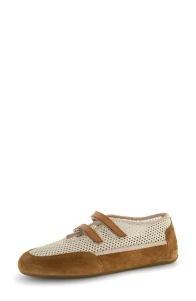 Candice Cooper Dalia Mesh Sneaker In Brown