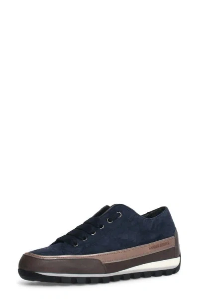 Candice Cooper Janis Strip Sneaker In Navy