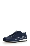 Candice Cooper Janis Strip Sneaker In Navy Blue