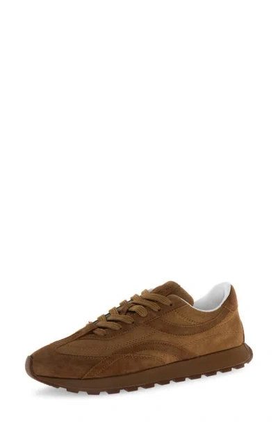 Candice Cooper Plume 2 Motion Sneaker In Brown