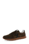 Candice Cooper Plume 5 Sneaker In Brown