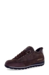 Candice Cooper Runlo Genuine Shearling Lined Sneaker In Brown