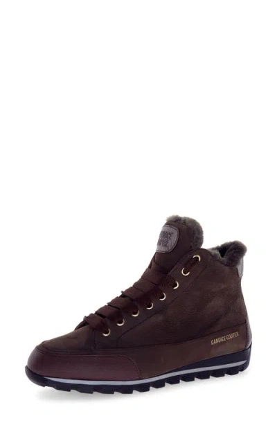 Candice Cooper Runlo Waterproof Genuine Shearling Lined High Top Sneaker In Multi