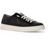 Candice Cooper Tim Perforated Leather Lace-up Sneaker In Black