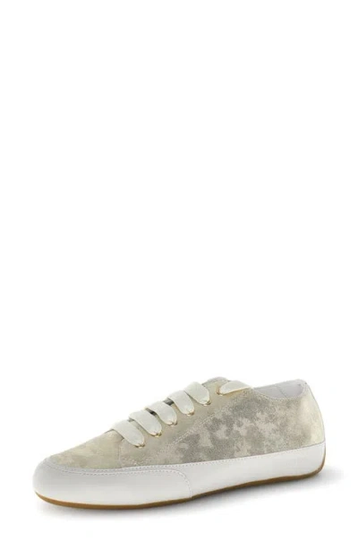 Candice Cooper Twist Sneaker In Gray