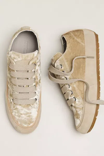 Candice Cooper Twist Velvet Suede Sneakers In Silver