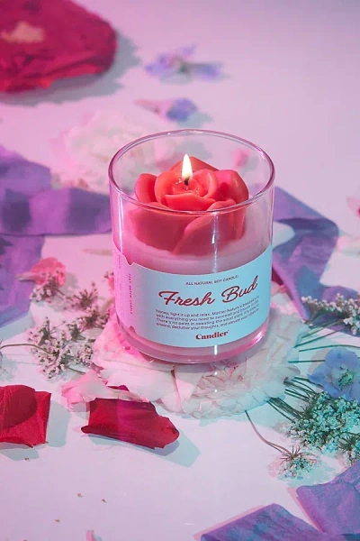 Candier Uo Exclusive Candle In Fresh Bud At Urban Outfitters In Brown