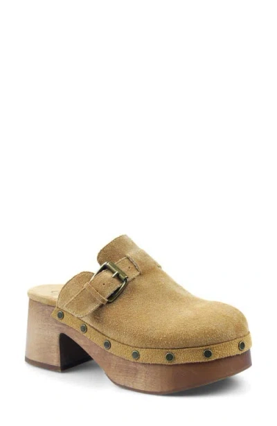 Candies Candie's Booyah Platform Clog In Brown